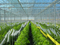 agriculture department, commercial pest control client in Arizona